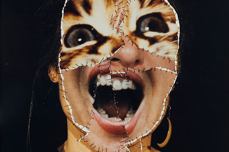 From Dickens to Dada – a marvellous mishmash of collage across time