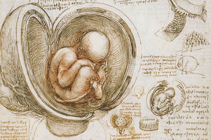 ‘Rich insights into a restless mind’ – Leonardo’s drawings at the Queen’s Gallery