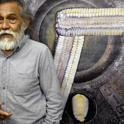Francisco Toledo, photographed in 2015.