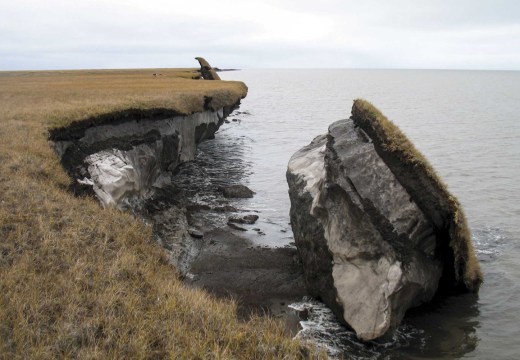 A collapsed block of ice-rich permafrost at Drew Point, north Alaska.