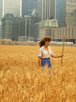 Agnes Denes walking through her installation Wheatfield – A Confrontation (1982) in the Battery Park landfill, New York.