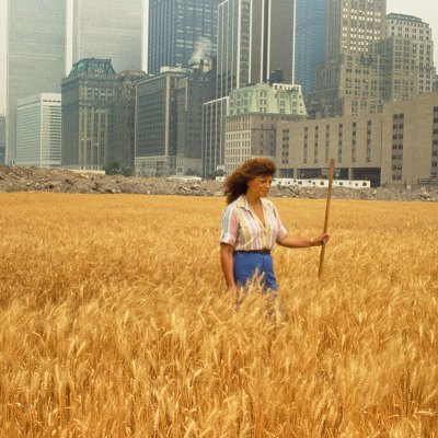 Agnes Denes walking through her installation Wheatfield – A Confrontation (1982) in the Battery Park landfill, New York.