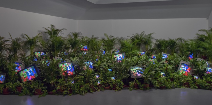 TV Garden (1974–77), Nam June Paik, installation view at the Kunstsammlung Nordrhein-Westfalen, Dusseldorf in 2002