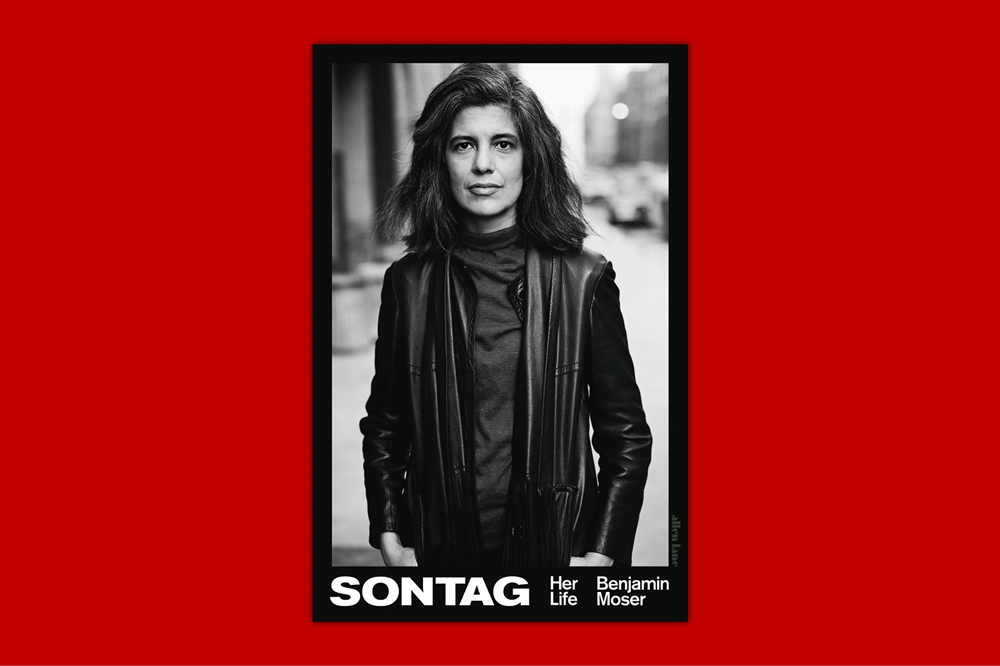 Mane attraction – the star quality of Susan Sontag