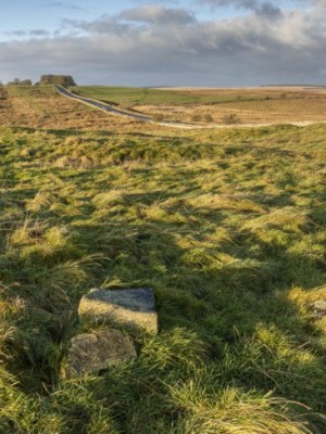 Carrawburgh Roman Fort.