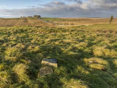Carrawburgh Roman Fort.