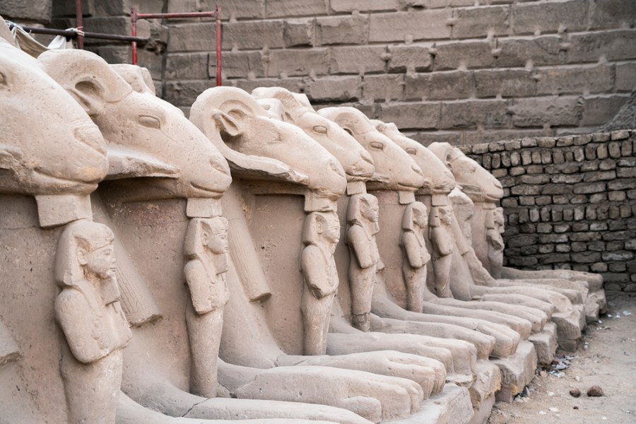 Sandstone ram-headed sphinxes (reign of Ramesses II; c. 1250 BC), from the first court in the Temple of Karnak in modern Luxor. Four of these sphinxes have now been taken to Cairo (photo: January 2020). Photo: © Ivar Sviestins