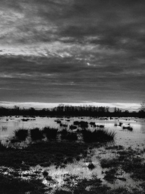The Somerset levels at dusk (1998), Don McCullin. Courtesy the artist and Hauser & Wirth; © Don McCullin