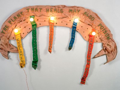 The Plant that Heals May Also Poison (1974), Ree Morton.