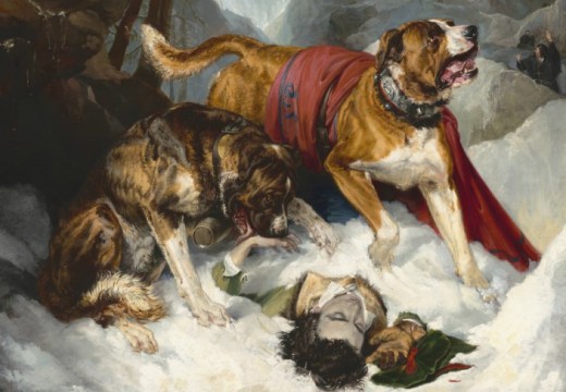 Alpine Mastiffs Reanimating a Distressed Traveler (detail; 1820), Edwin Landseer.