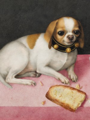 Lapdog with Biscotti and a Chinese Cup (c. 1648), Giovanna Garzoni. Gallerie degli Uffizi, Florence