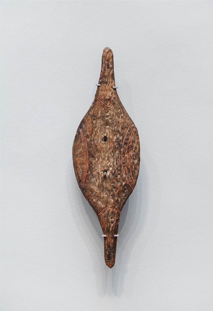 Murlapaka shield (19th century), Kaurna people, Adelaide Plains