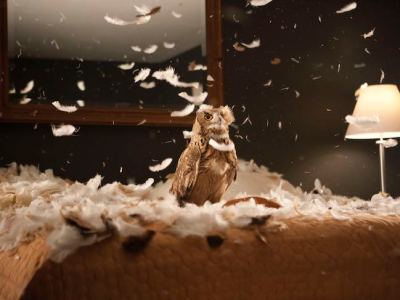 migration (empire) (video still; 2008) Doug Aitken.