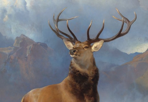 The Monarch of the Glen (detail; c. 1851), Edwin Landseer