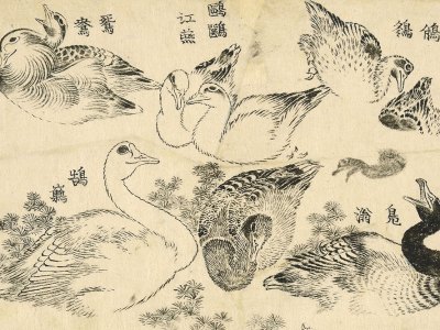 Water Birds (1829), Katsushika Hokusai.
