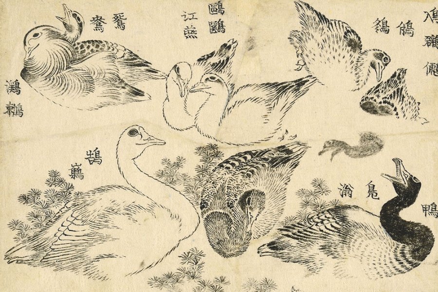 Water Birds (1829), Katsushika Hokusai.