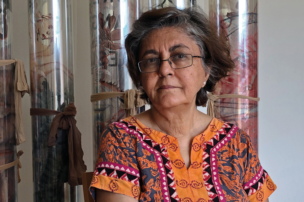 Art without borders – an interview with Nalini Malani