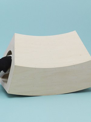 Beagle House Interactive Dog House, MVRDV.