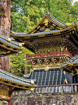 Buildings at the main entrance to the Toshogu Shrine, Nikko (photo: 2016).