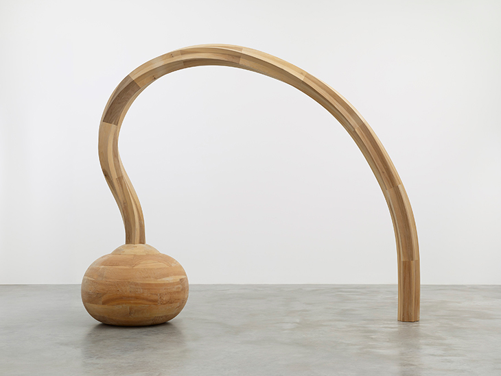 Question (2010), Martin Puryear.