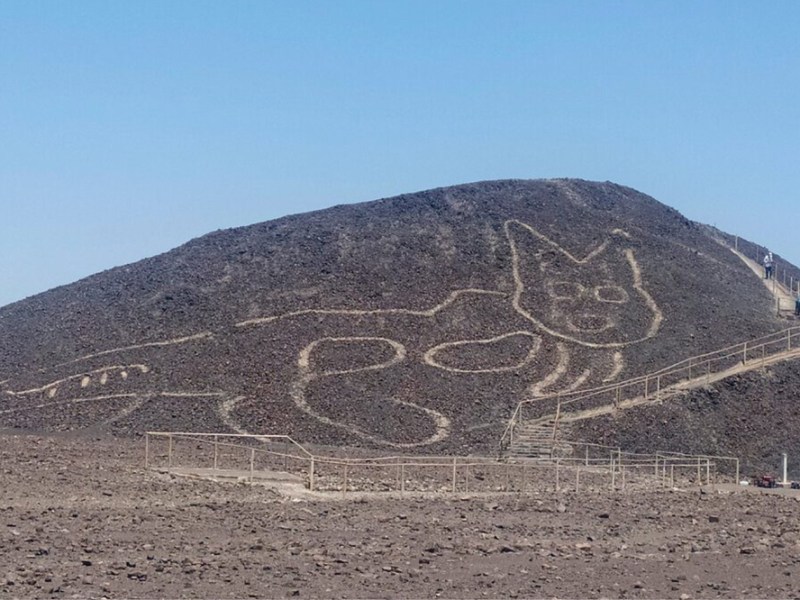 The discovery of the figure of a feline on a hillside in Nazca, Peru, was announced by the Peruvian Ministry of Culture on 15 October, 2010.