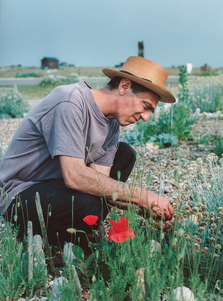 Derek Jarman (1942–94) in the garden at Prospect Cottage.