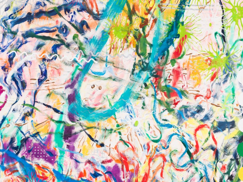 Strobia (detail; 1978), Nancy Graves.