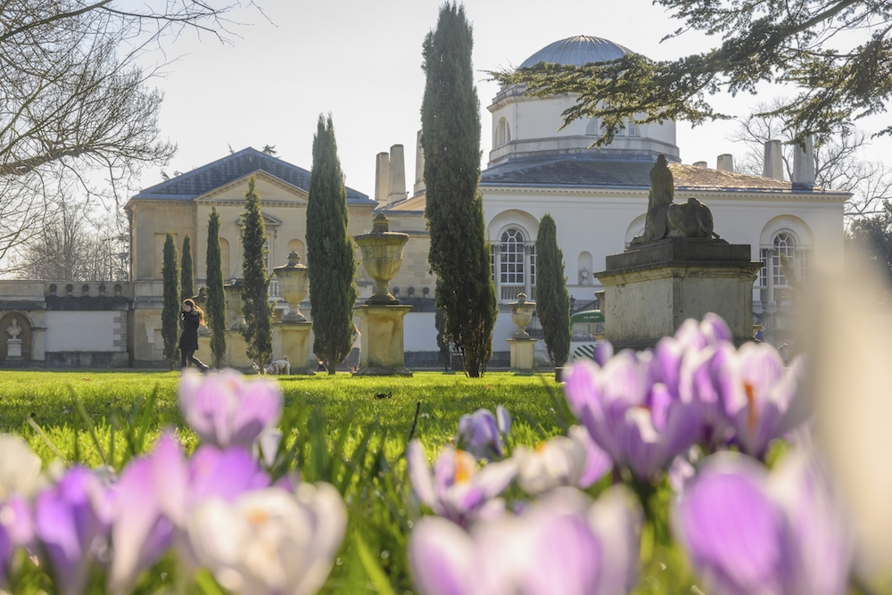 Chiswick House, from the gardens