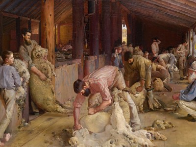 Shearing the rams