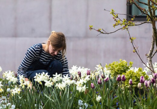 Gardener Katy Merrington at the Hepworth Wakefield.