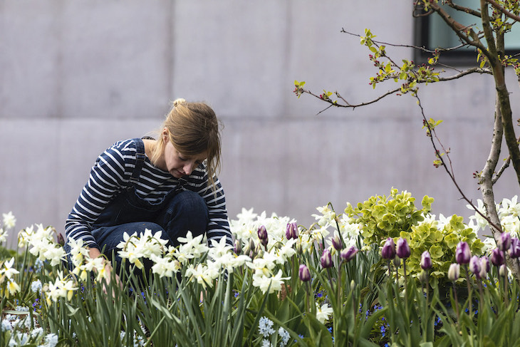 Gardener Katy Merrington at the Hepworth Wakefield.