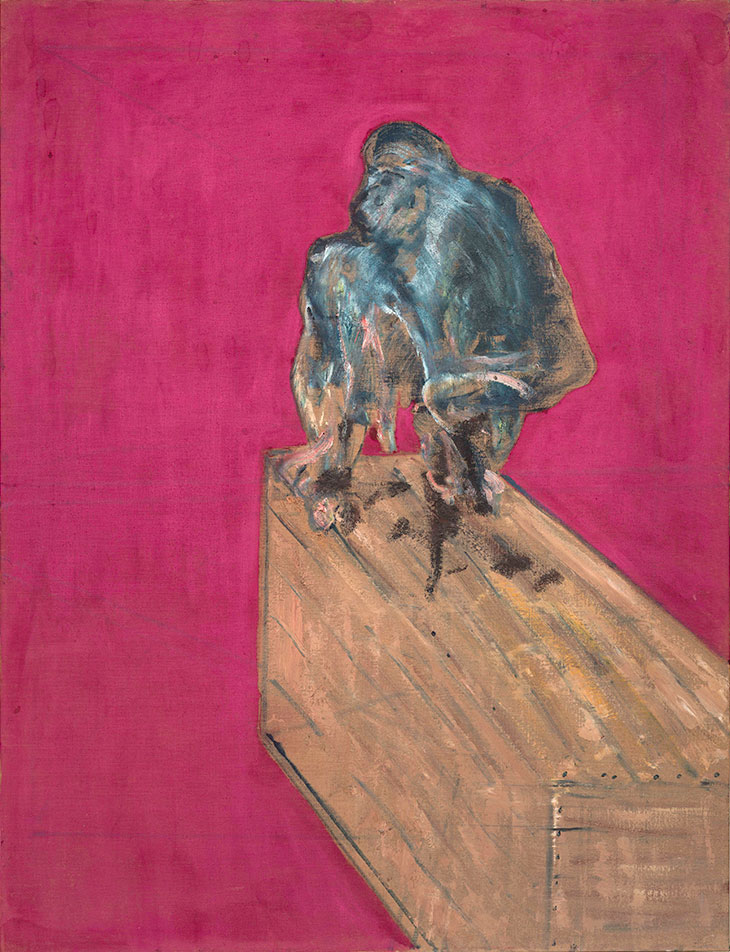 Study for Chimpanzee