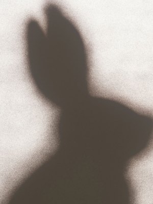 Rabbit (1986), Edward Ruscha. Los Angeles County Museum of Art
