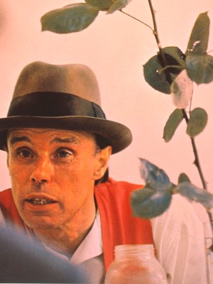 We can't do it without the rose (detail; 1972), Joseph Beuys.