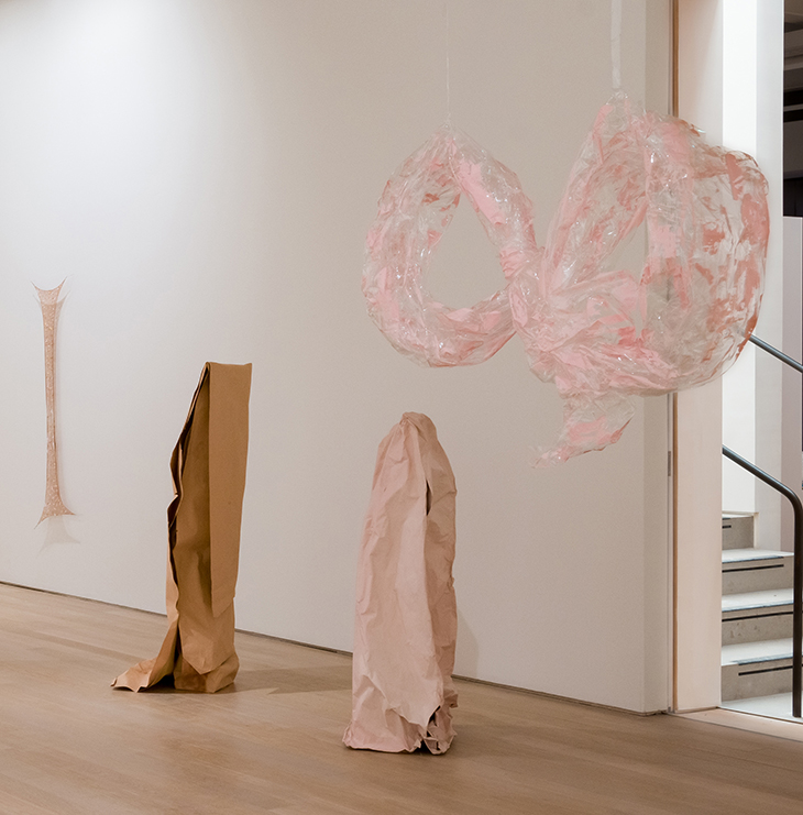 Installation view of ‘Karla Black’ at Fruitmarket, Edinburgh. Photo: Tom Nolan