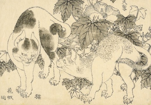 ‘Cats and hibiscus’, from the Great Picture Book of Everything (1820s–40s), Katsushika Hokusai.