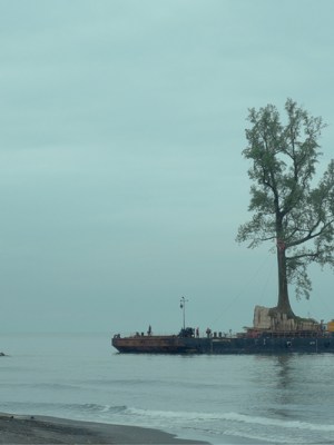 From ‘Taming the Garden’ (dir. Salomé Jashi).