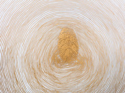 Propagazione (detail; 2013), Giuseppe Penone.