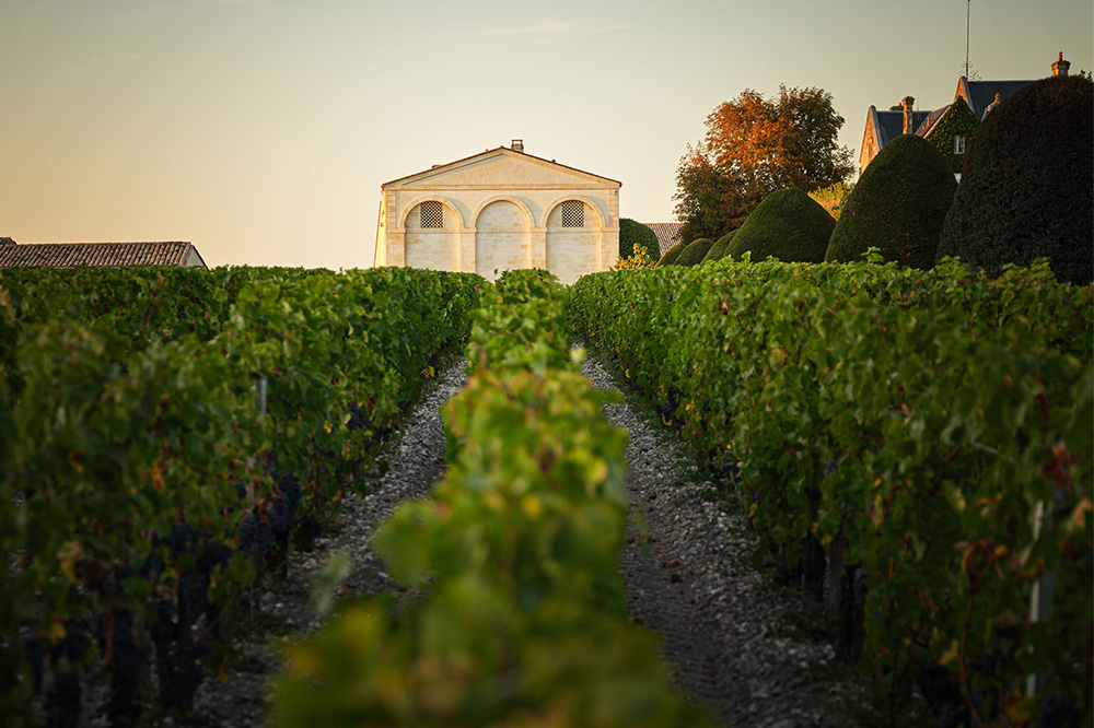 The perfect blend – art and wine at Château Mouton Rothschild