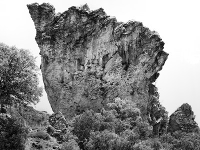Rock slump from the cliffs of Sarikaya, near Yesilbaskoy. In antiquity, Sarikya was one of the main limestone quarries providing ancient Sagalossos with stone building materials.