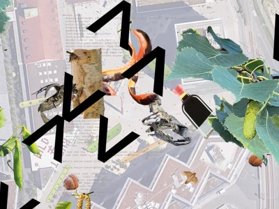 Ursula Endlicher's Input Field Reversal #2 (2022)