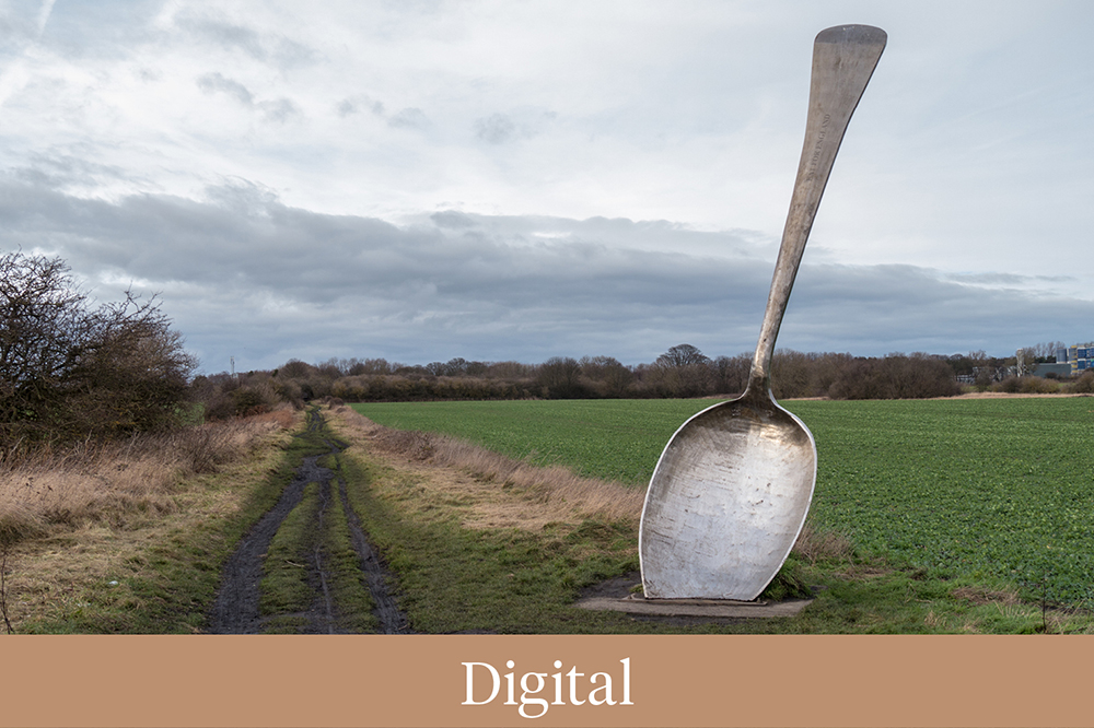 Digital Innovation of the Year