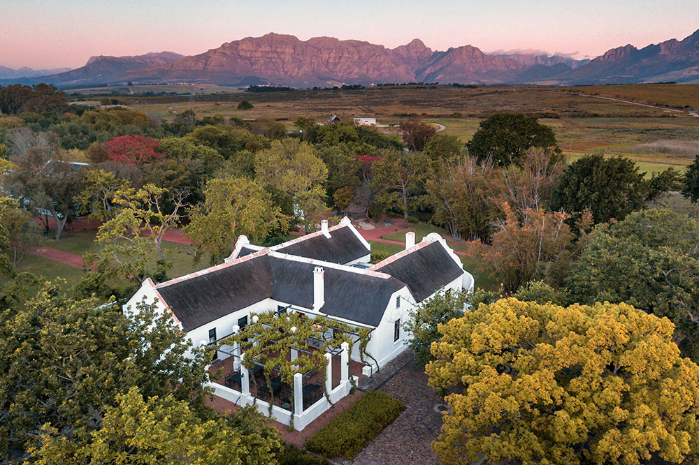 Between the vines – contemporary art at Spier Wine Farm
