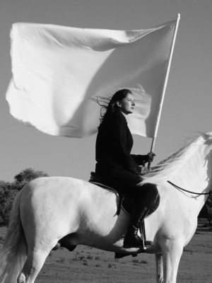 The Hero (detail; 2001), Marina Abramovic. Courtesy the Marina Abramovic Archives; © Marina Abramovic