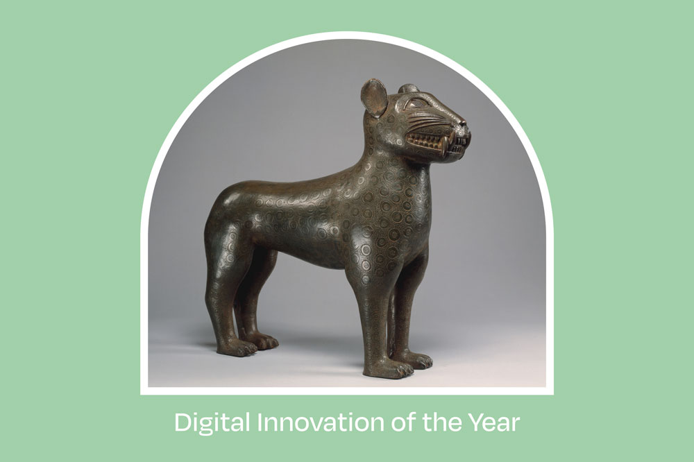 Digital Innovation of the Year
