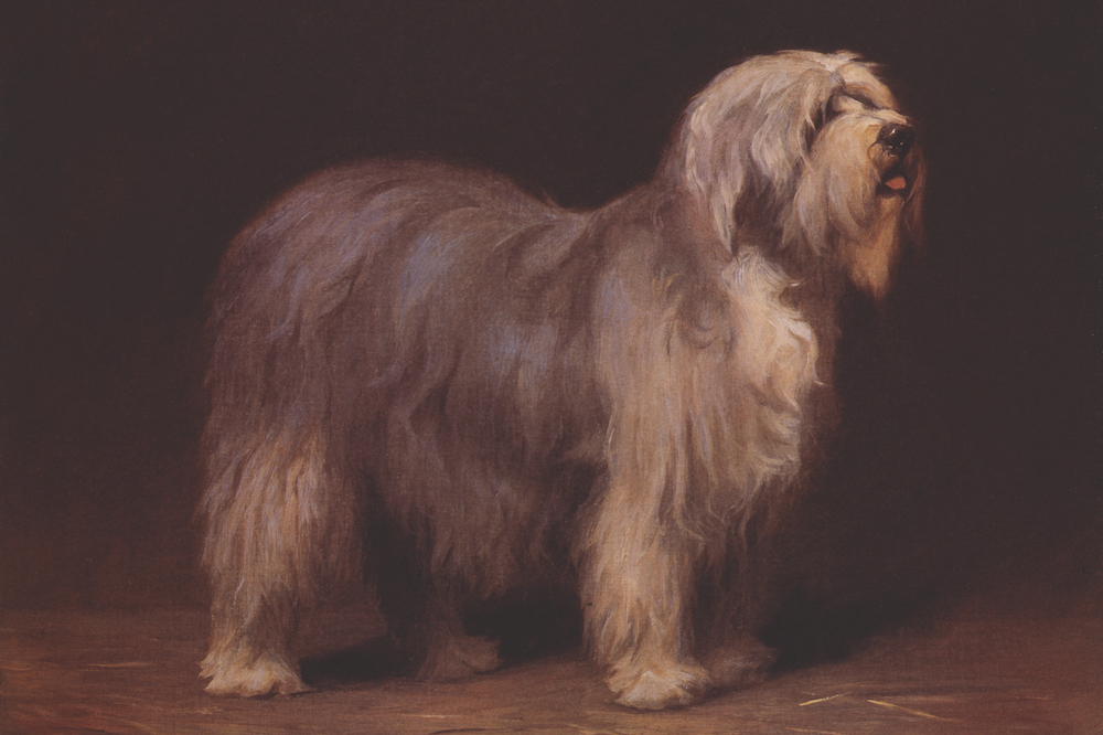 At the Kennel Club: the world’s largest collection of doggy art