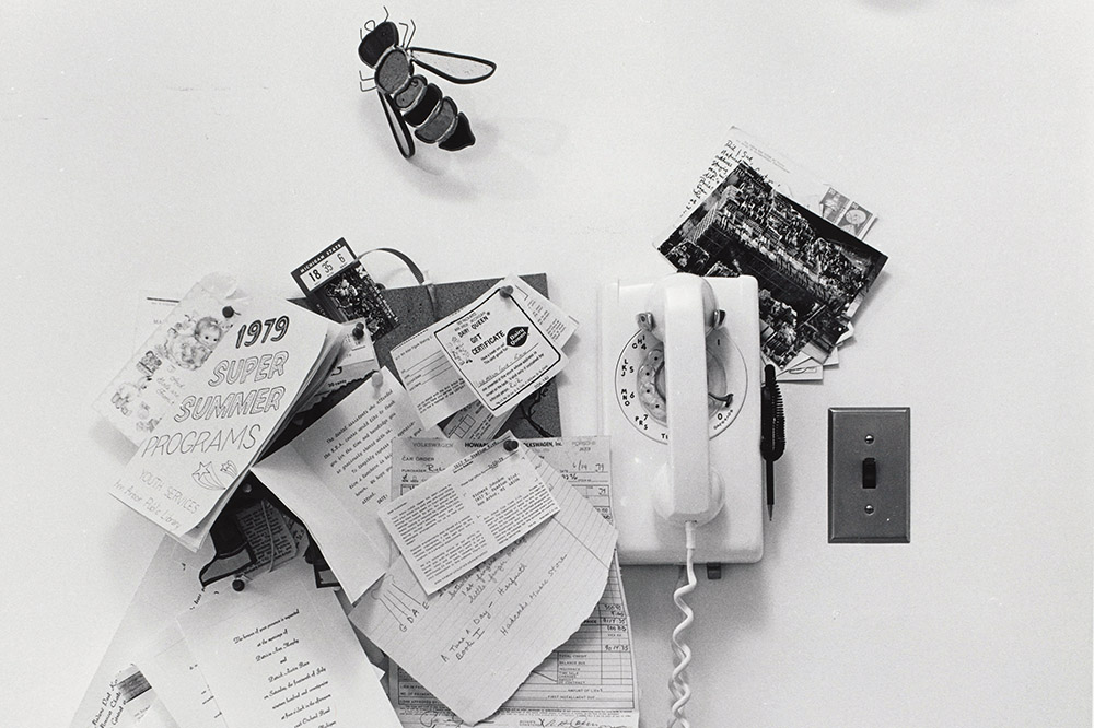 The everyday radicalism of Joanne Leonard
