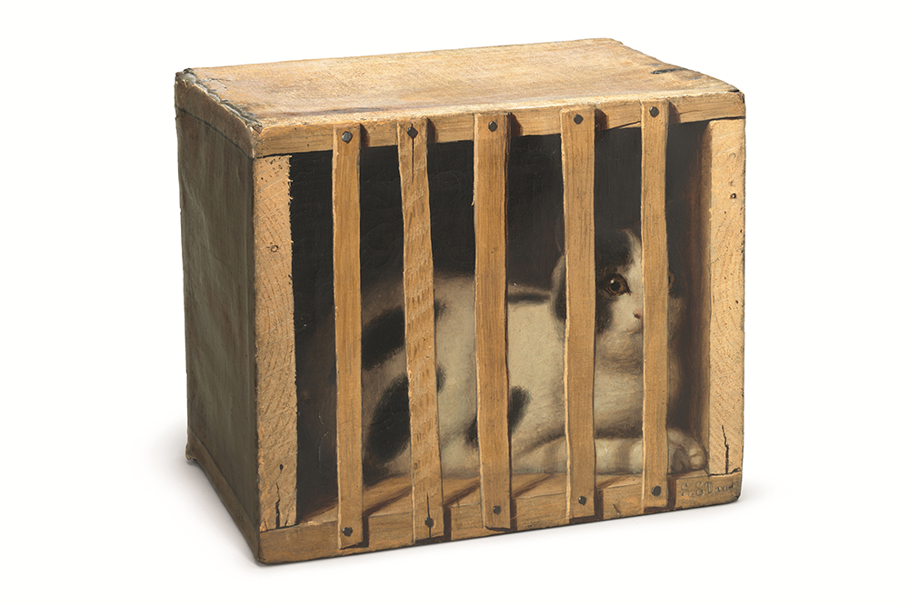 ‘As an image of victimhood, Cat in a Crate beats many a crucifixion’