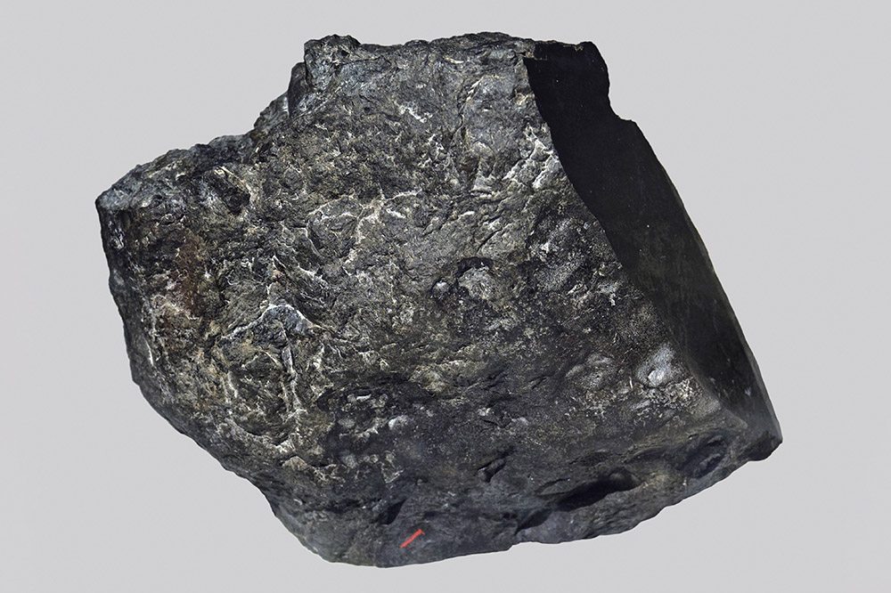 The meteorite that fired up Dürer’s imagination