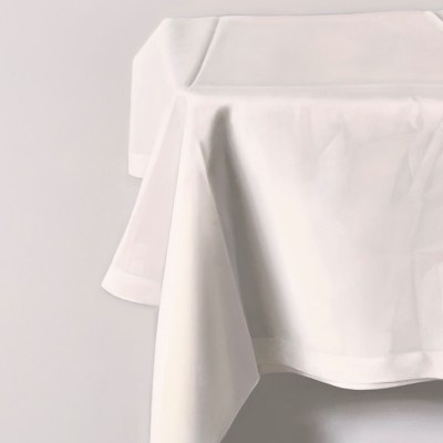 painting of tablecloth by Alison Watt